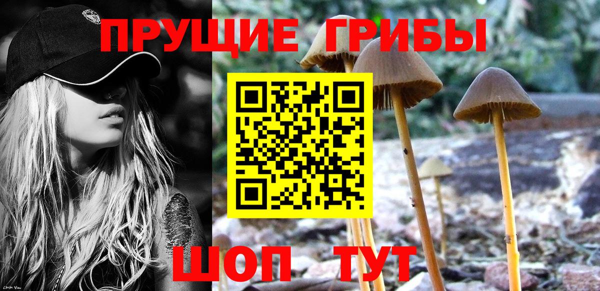 Псилоцибиновые грибы Magic Shrooms Великий Новгород
