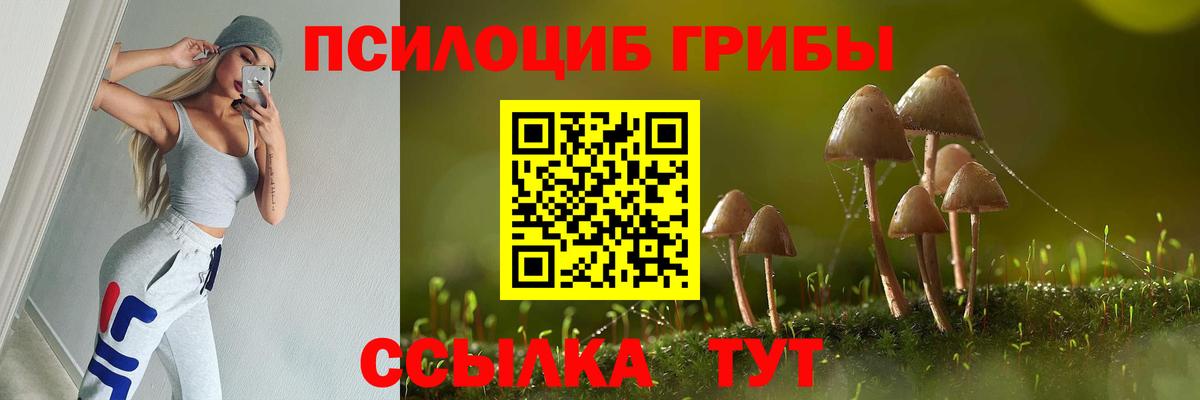 Псилоцибиновые грибы Cubensis  Вход с VPN  Галлюциногенные грибы Psilocybe  Великий Новгород 